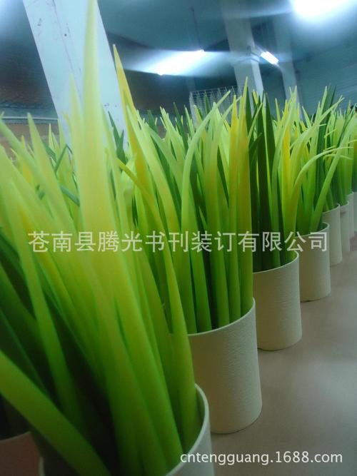小草叶笔 以青草名义，变革发间护理艺术